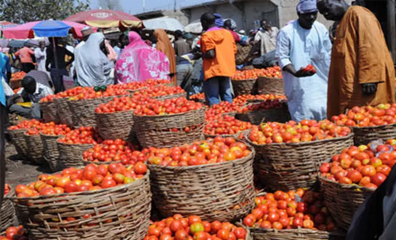 tomatoes-market