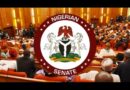 2024 Budget performance: Senate scores FG low