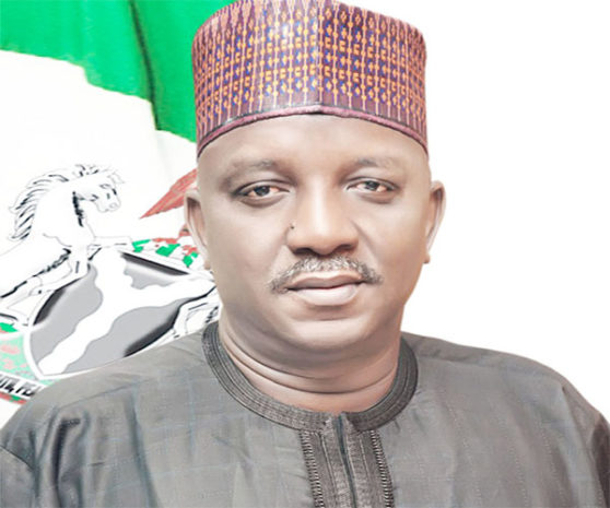 Saleh-Mamman-Minister-of-Power-1