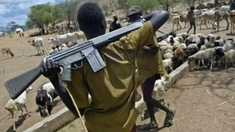 Armed-Fulani-herdsmen-edited-1