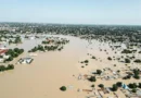 Flood submerges 103 communities in Rivers