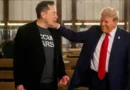 Elon Musk’s wealth rises by $13bn after Trump’s win