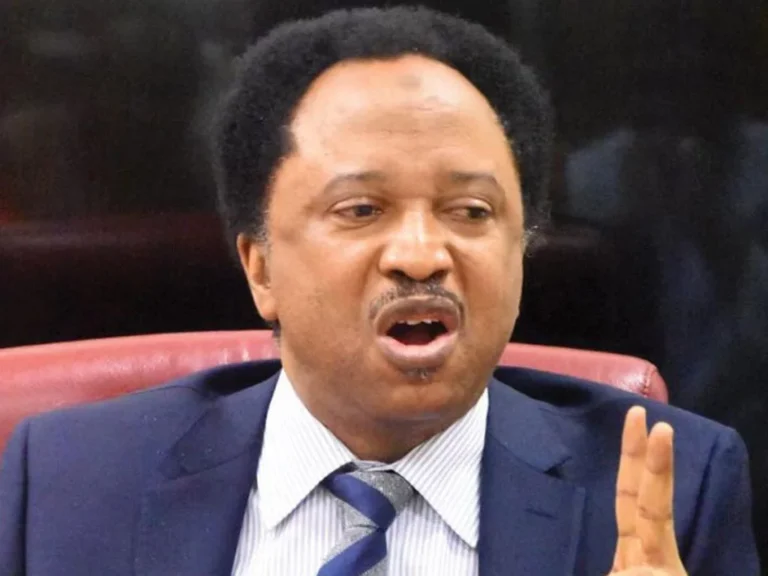 shehu-sani-1024x768