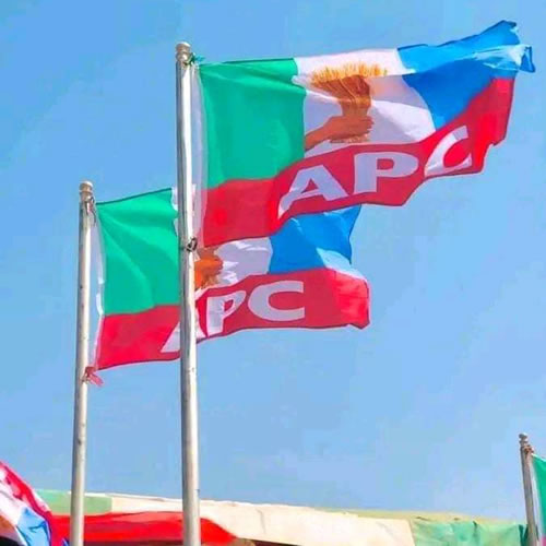 apc-flag-dealers-in-lagos