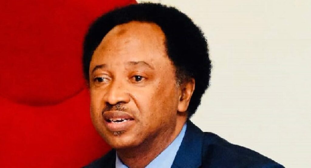 shehu-sani-says